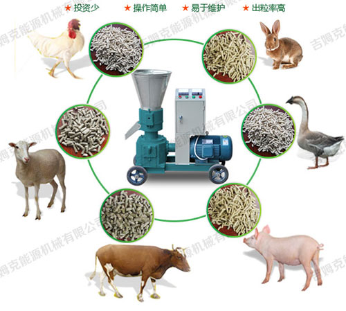 飼料顆粒機可加工牛羊豬兔雞鴨鵝魚飼料顆粒