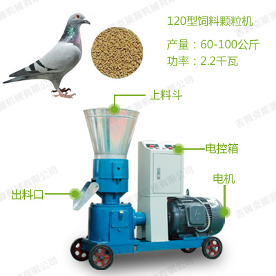 鴿子飼料顆粒機結構細節圖片